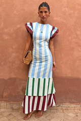 Blue Stripe Alena Midi Dress Petite