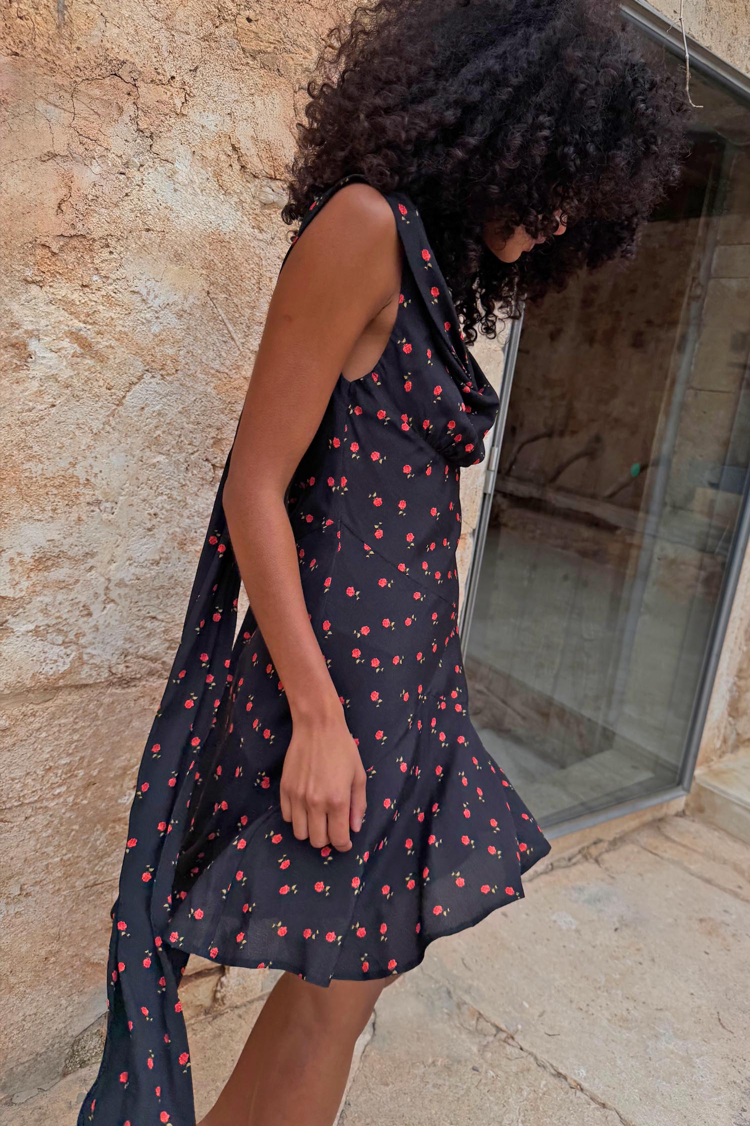 Black Rose Mini Sophie Dress