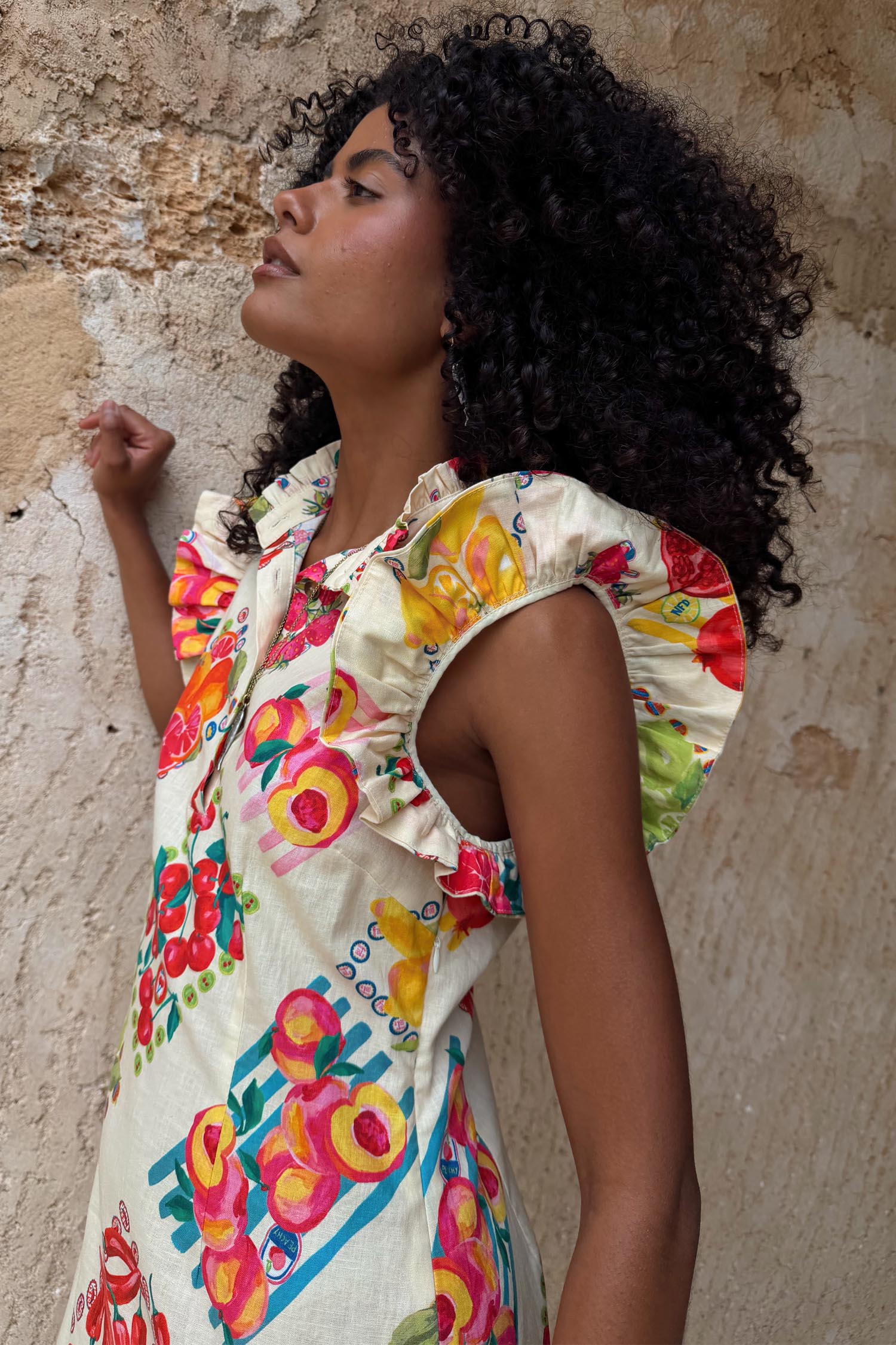 Fruit Stamps Remi Dress Petite