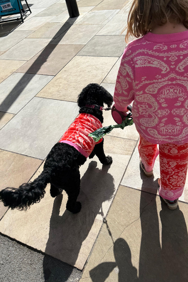 Red and Pink Bandana Dog Jumper