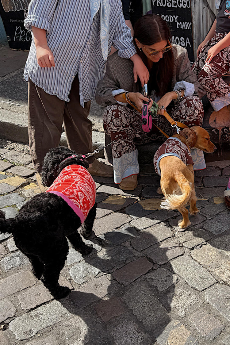 Red and Pink Bandana Dog Jumper