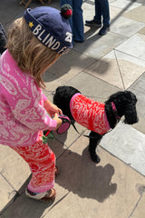 Red and Pink Bandana Dog Jumper