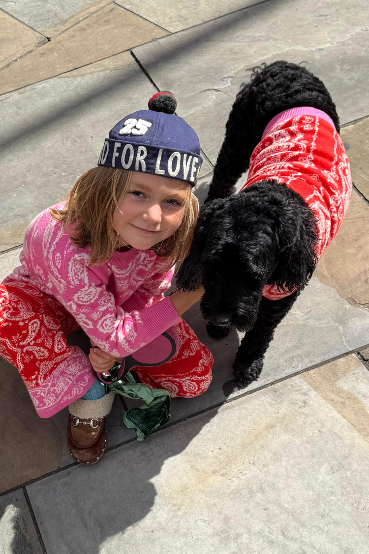 Red and Pink Bandana Dog Jumper