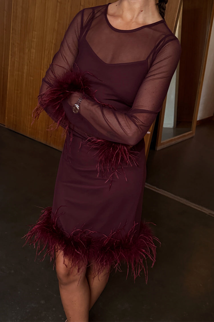 Wine Mesh Feather Mini Dress