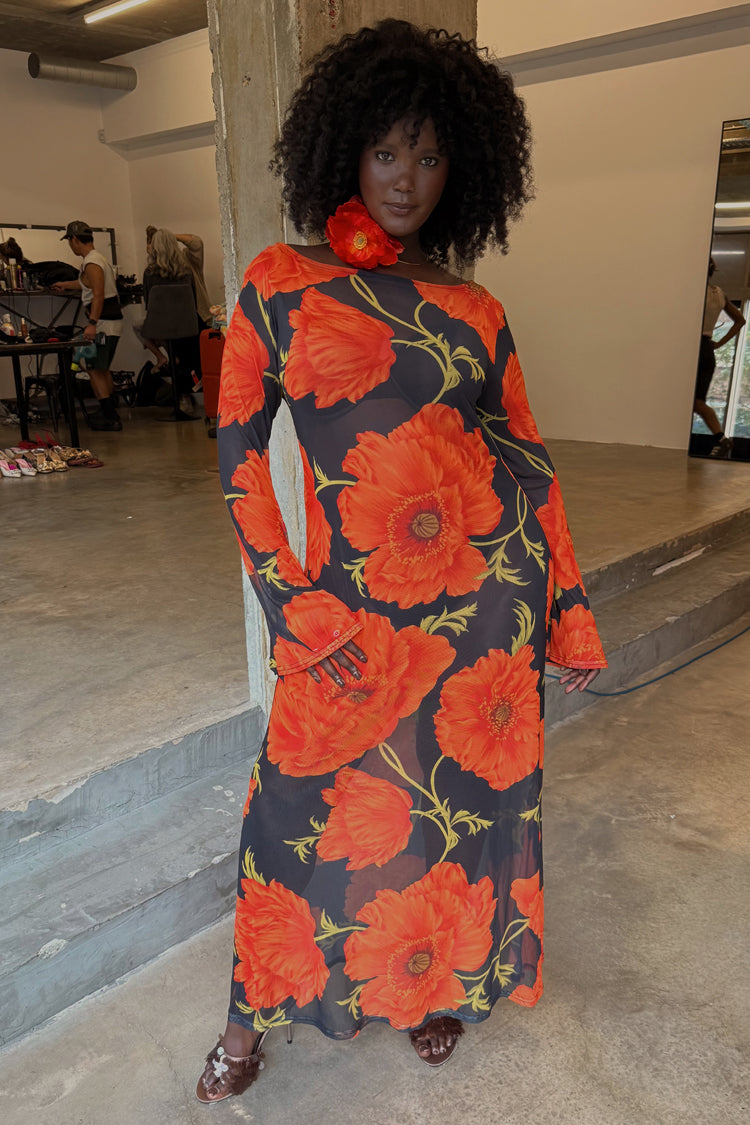 Black Poppy Aria Mesh Dress Petite